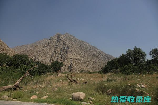 山南星(山南星路沥青混凝土有限公司)