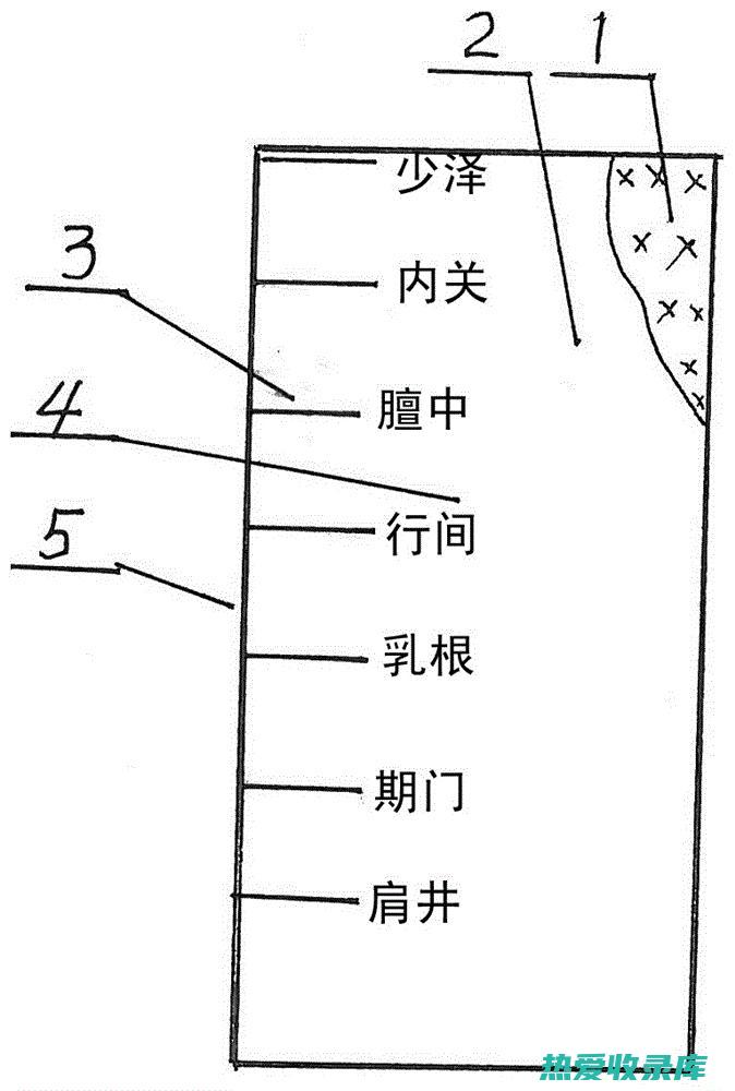 治疗乳痈的中药：有效缓解疼痛和肿胀 (治疗乳痈的中药有哪些)