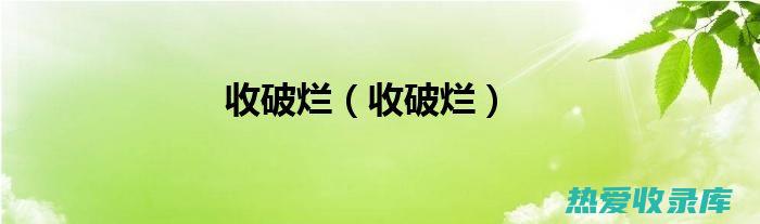 外用：捣烂外敷，用于治疗外伤、疮疡等。