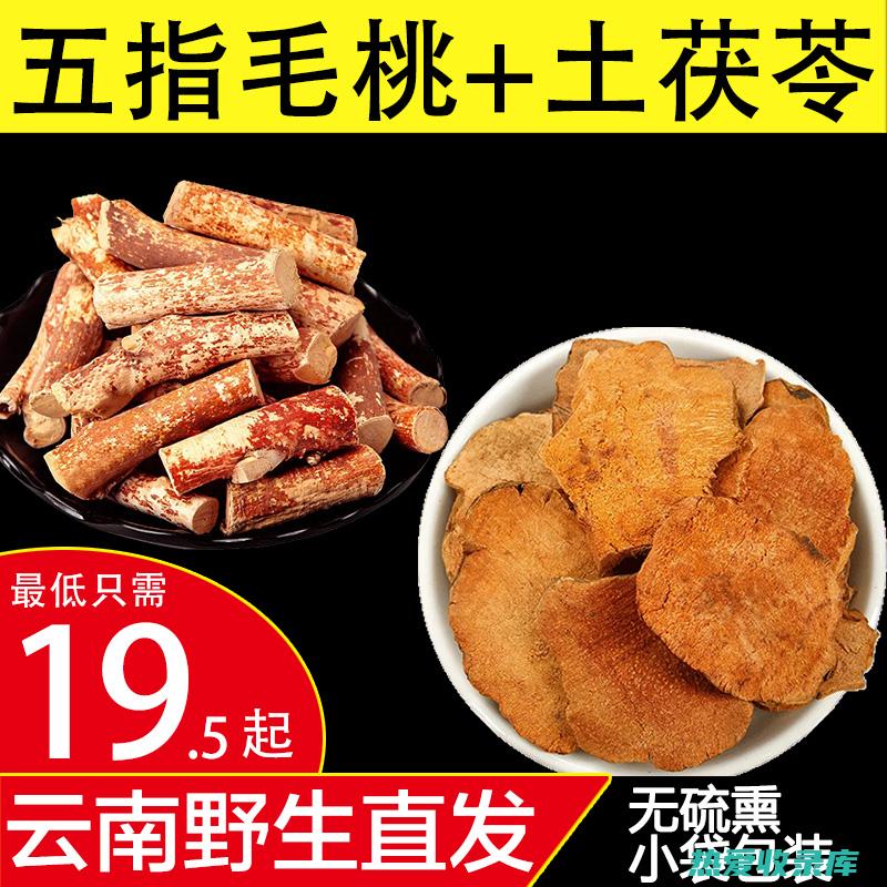 茯菟丸中的石莲子用莲子代替吗