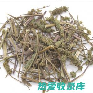 荆芥炭的益处、用途和禁忌 (荆芥炭的作用是)