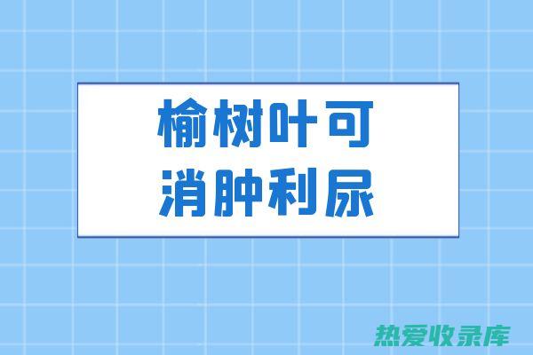 利尿消肿： 牛角腮有利尿作用，可促进尿液排出，缓解水肿症状，如肾炎、肝硬化腹水等。 (牛利尿吃什么药好)