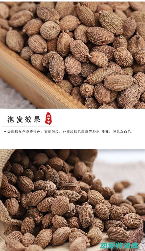 砂仁米的功效与作用：全面了解其药用价值和食用指南 (砂仁米的功效与作用点)