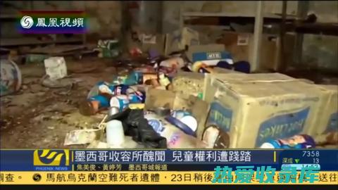 阻止老鼠活动：被粘住的老鼠无法移动，从而阻止它们破坏物品或传播疾病。(阻止老鼠活动的办法)