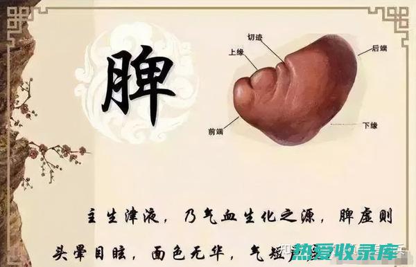 益气健脾：耳环石斛能益气健脾，增强体质，提高免疫力，预防疾病的发生。(益气耳聪明)