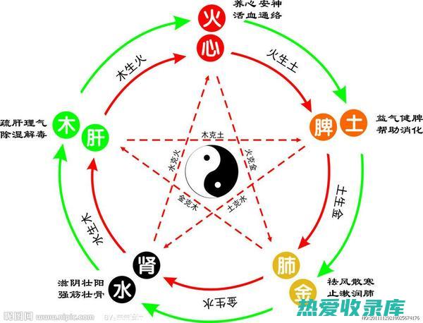 入丸散：肺心草可入丸散，与其他中药配伍使用，疗效更好。 (入丸散用是什么意思)