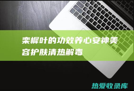 栾樨叶的功效：养心安神、美容护肤、清热解毒 (栾樨叶的功效与图片)