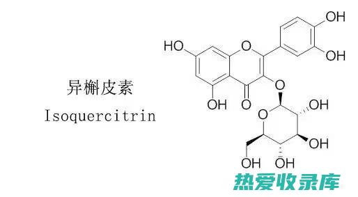 已被证明抑制炎症并保护神经细胞免受氧化损伤