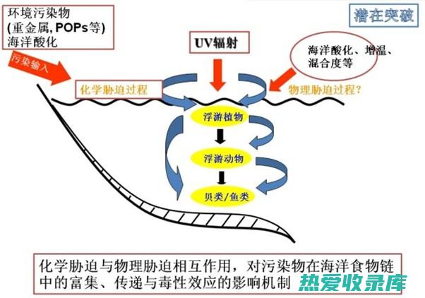 天然安全：中药配方减肥使用的都是天然草药，不会对身体产生副作用。(天然安全吗)