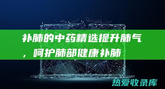 补肺的中药精选：提升肺气，呵护肺部健康 (补肺的中药精方)