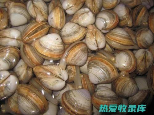 功效：滋阴补肾、明目(功效滋阴补虚,又能止泻截疟的食物是)