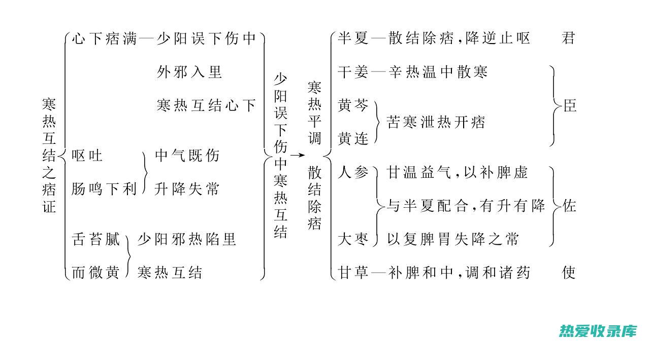 干姜泻心汤功效与作用