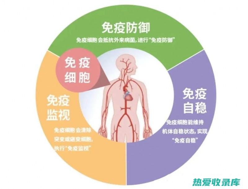 增强免疫功能：生地黄皂苷能增强机体的免疫功能，提高免疫细胞的活性，帮助清除肿瘤细胞。(增强免疫功能打什么针)