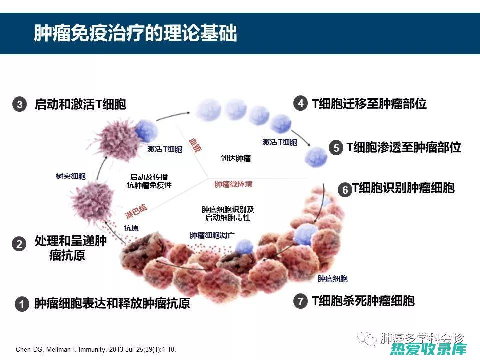 抗肿瘤：研究表明，磨盆草具有抗肿瘤作用，可抑制癌细胞生长。(野葡萄根抗肿瘤研究)