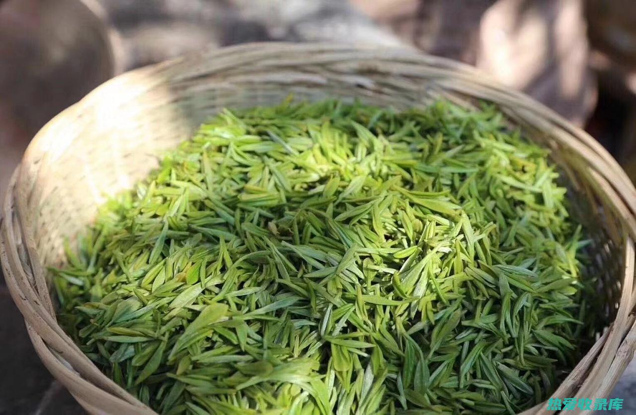 功效：绿茶具有抗炎和止疼作用，有助于缓解烫伤疼痛和肿胀。(绿茶之功效)