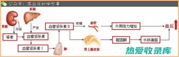 降低皮质醇水平（一种与压力和焦虑相关的激素）(降低皮质醇水平的方法)