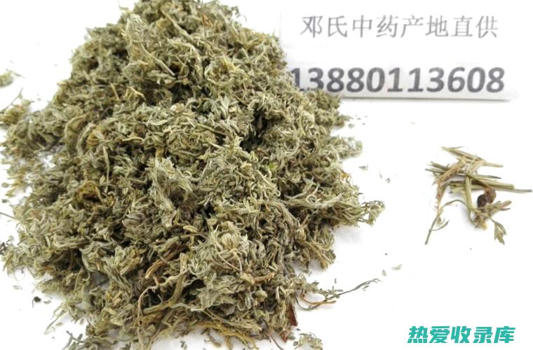 茵陈：一味重要的中药材 (茵陈的效用)