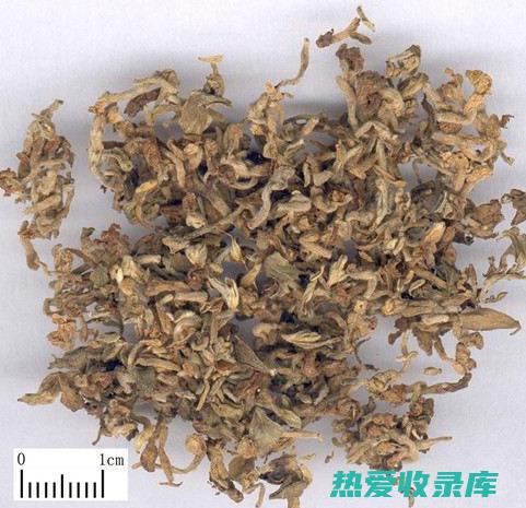 其他功效：芫荽子还有助于缓解头痛、失眠、焦虑和疲劳等症状。它还可以促进尿液排出，缓解水肿。(芫花的功效与主治)