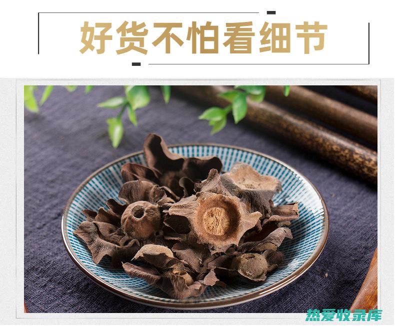 中药材柿楴的功效 (柿子的中药功效)