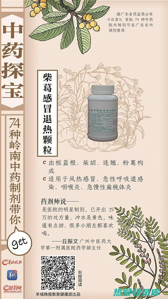 中药宝库：探索黄芪子的功效与应用 (草药探险在哪儿)