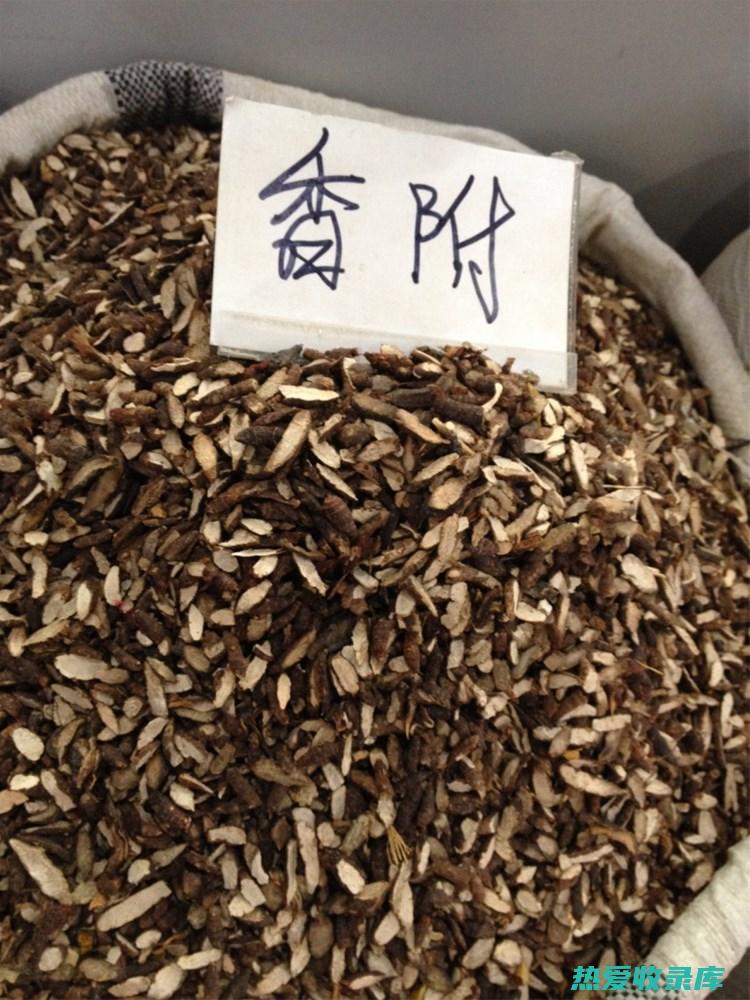 香附15g(香附15g白术10g茯苓10g熟地12g治疗脂溢性皮炎)