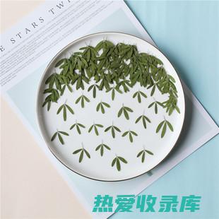 中药夜关门的