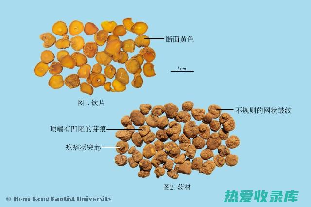 玄胡索的功效 (玄胡索的功效与作用)