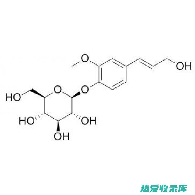 中药松柏的功效 (中药松柏的功效与作用)