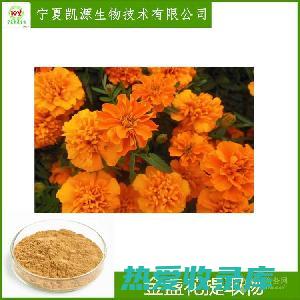 金盏花：抗菌，促进伤口愈合(金盏花抗菌)