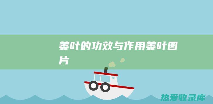 萎叶的功效与作用 (萎叶图片)