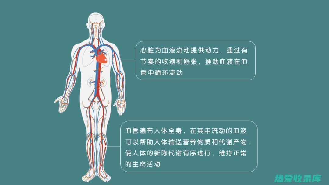 心血管疾病：高血压、冠心病(心血管疾病是指什么病)