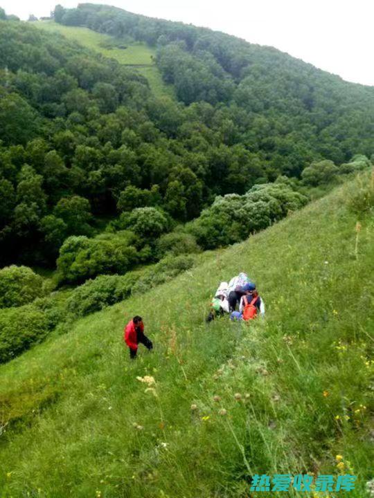 质地：坚实而脆，断面有白色粉末。 (质地坚实是什么意思)