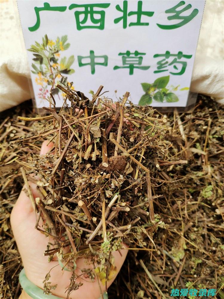 外用：北茵陈可以制成药膏或敷料，用于局部治疗炎症和皮肤问题。(中药北茵陈)