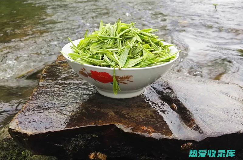 甘和茶与功效的对比 (甘和茶功效与禁忌)