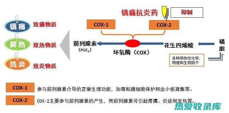 抗炎作用：减轻炎症，缓解疼痛和肿胀(抗炎作用是什么)