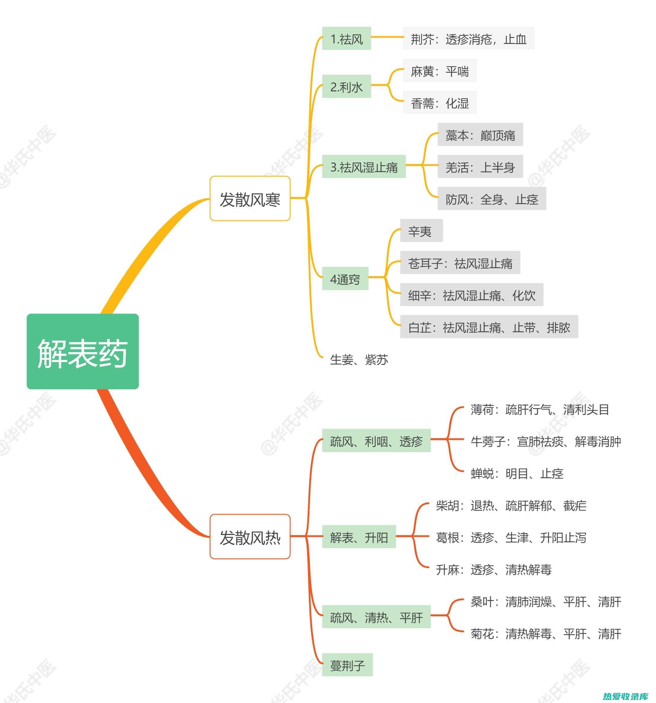 中医药知识普及(中医药知识普及)