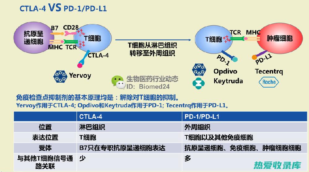 免疫抑制剂(免疫抑制剂是什么意思)