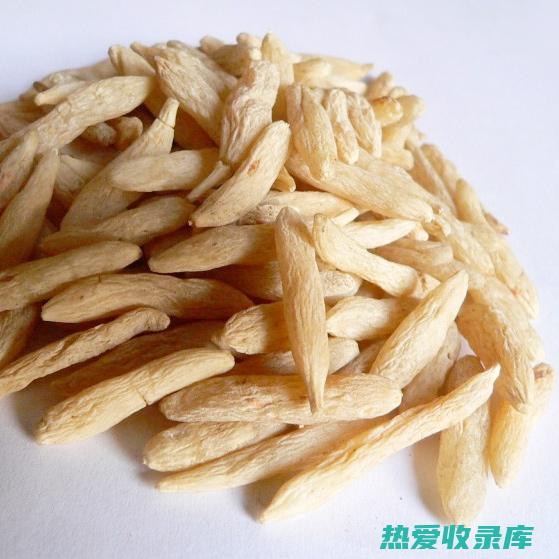 麦冬的药用功效与主治作用