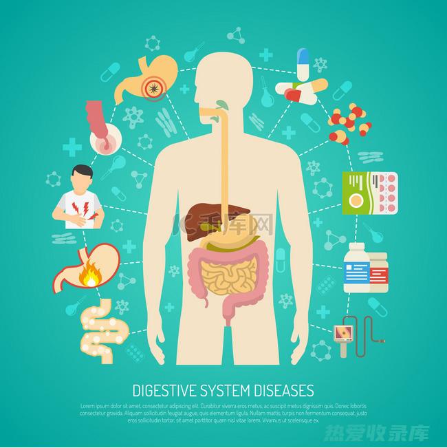 消化系统疾病：胃痛、腹泻、便秘(消化系统疾病ppt课件)