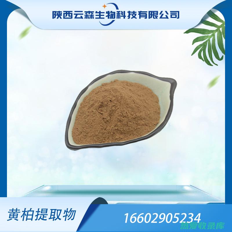 泄泻：黄柏能涩肠止泻，用于治疗腹泻。(黄柏止泻吗)