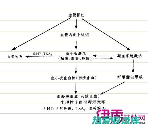 止血利尿(止血利尿的中药)