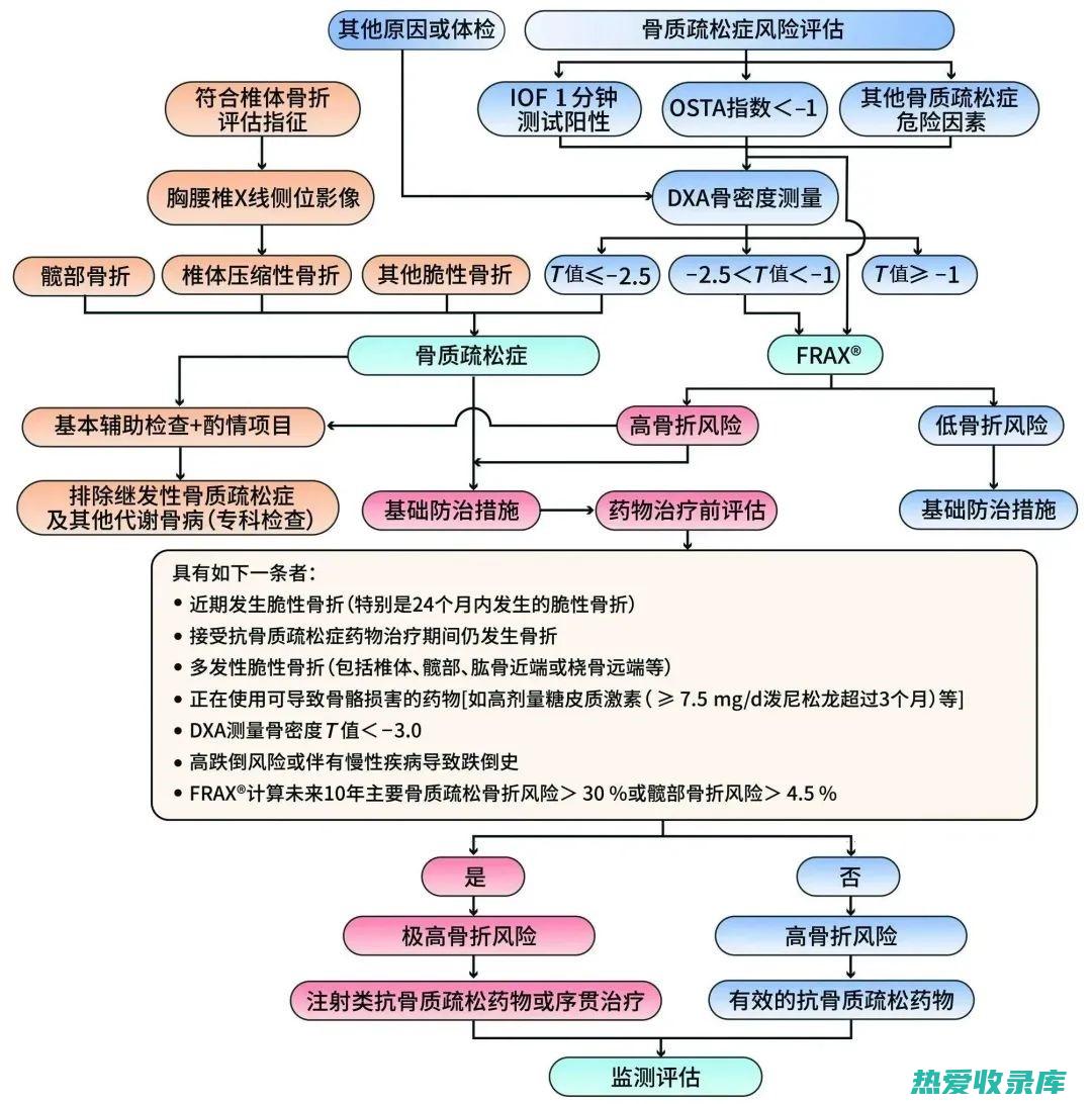 骨质疏松症(骨质疏松症有什么症状)