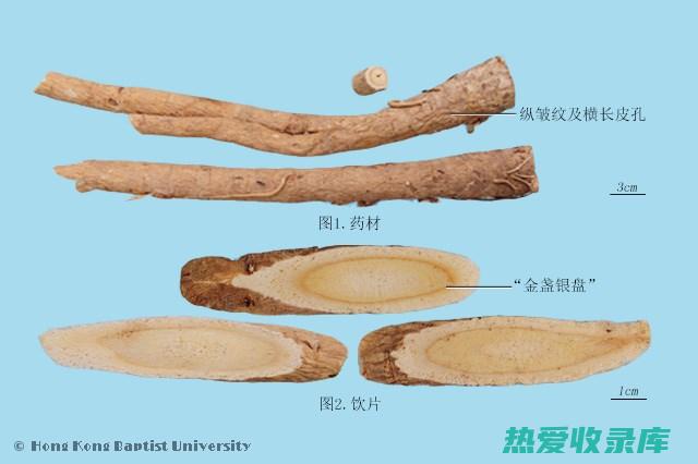 黄芪配升麻的功效与主治 (黄芪配升麻的作用与剂量)