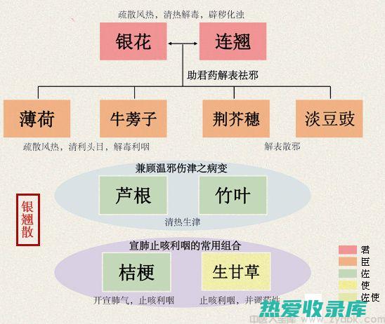 羚角钩藤散：羚角、钩藤、何首乌、丹参、地龙组成。具有活血化瘀、清肝降压的作用。(羚角钩藤散的功效)