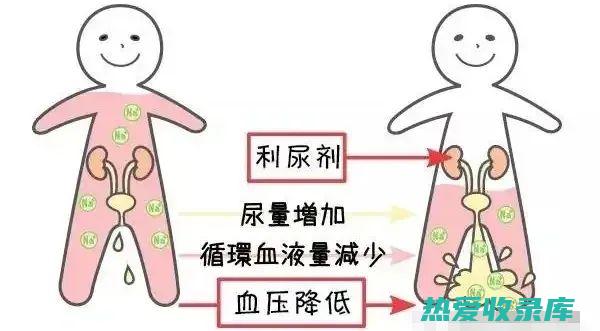 利尿排钠：其他草药，如石决明和地龙，具有利尿排钠作用，可以减少体内水分和钠离子，从而降低血压。(利尿排钠是什么意思)