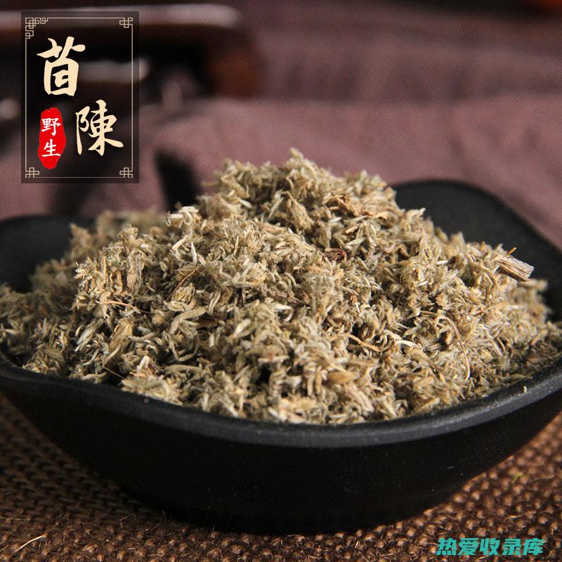 茵陈 15g(茵陈15g栀子10g大黄6g煎法)