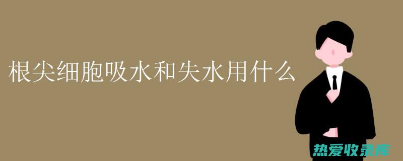 浸泡时间应根据材料的性质和浸泡目的确定。(浸泡时间应根据什么算)