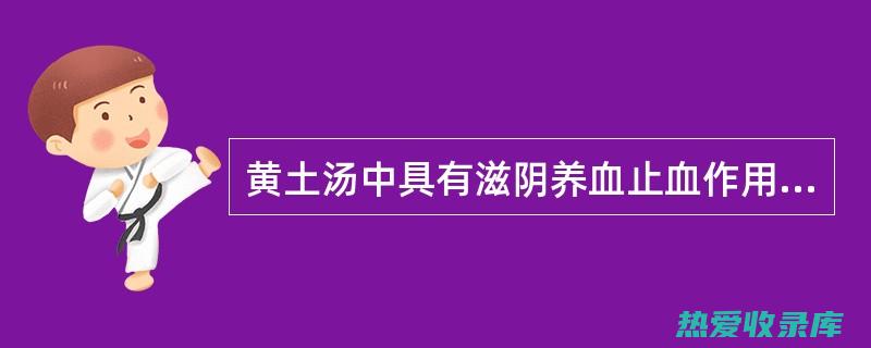 黄土汤的功效：探索其疗愈特性 (黄土汤的功效和作用)