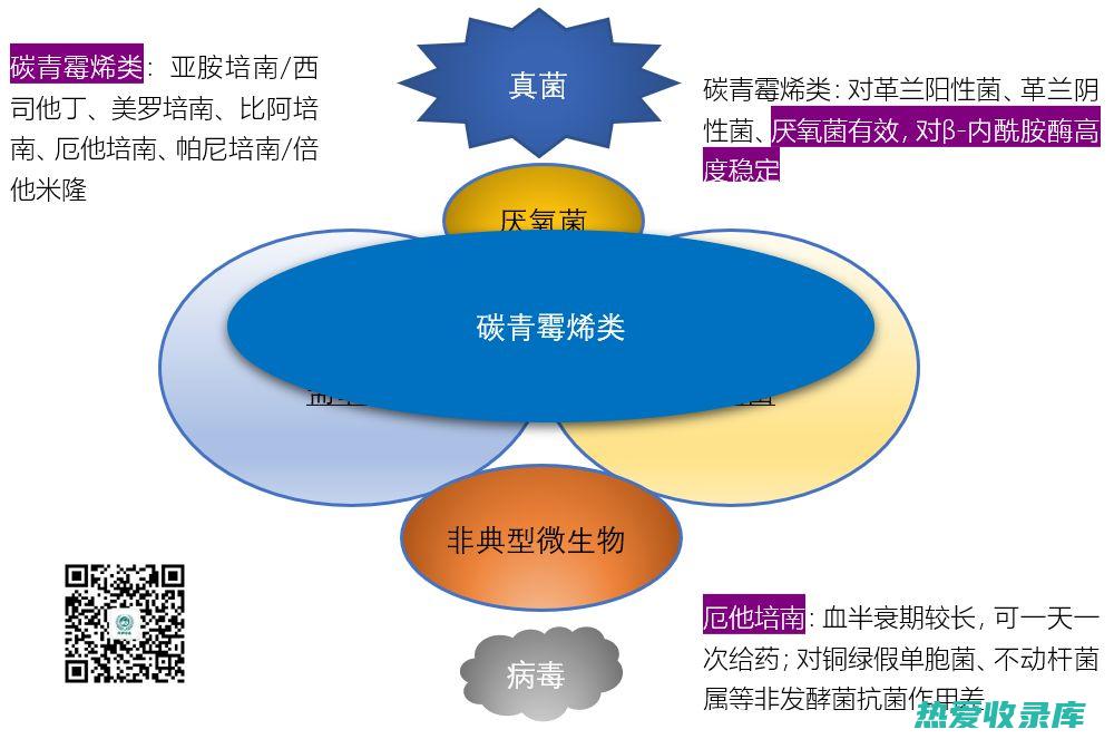 抗菌作用：兰根对多种细菌和真菌具有抗菌作用。它已被用于治疗感染，如肺炎、鼻窦炎和酵母菌感染。(抗菌作用概念)