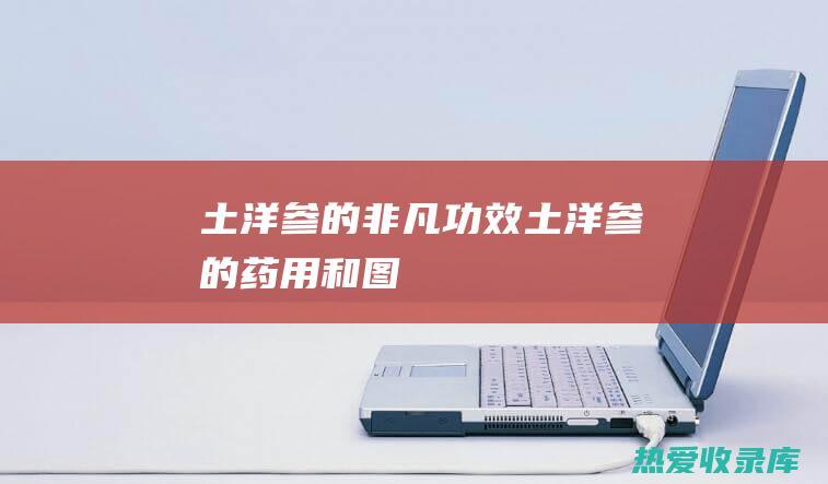 土洋参的非凡功效： (土洋参的药用和图)